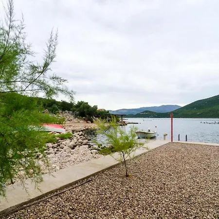 Zuronja * Putnikovic